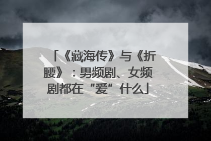 《藏海传》与《折腰》：男频剧、女频剧都在“爱”什么