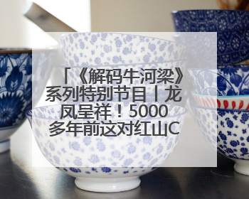 《解码牛河梁》系列特别节目丨龙凤呈祥！5000多年前这对红山CP竟这么好嗑