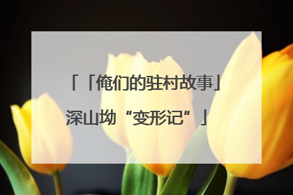「俺们的驻村故事」深山坳“变形记”