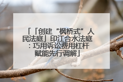 「创建“枫桥式”人民法庭」印江合水法庭：巧用诉讼费用杠杆 赋能先行调解