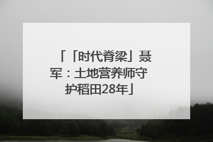 「时代脊梁」聂军：土地营养师守护稻田28年