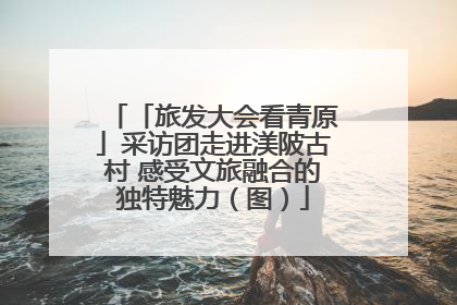 「旅发大会看青原」采访团走进渼陂古村 感受文旅融合的独特魅力（图）