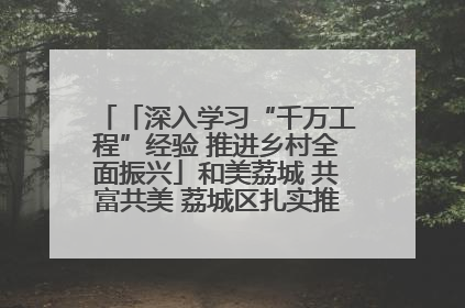 「深入学习“千万工程”经验 推进乡村全面振兴」和美荔城 共富共美 荔城区扎实推进乡村振兴工作