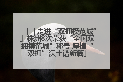 「走进“双拥模范城”」株洲8次荣获“全国双拥模范城”称号 厚植“双拥”沃土谱新篇