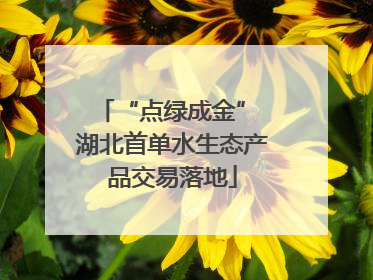 “点绿成金” 湖北首单水生态产品交易落地