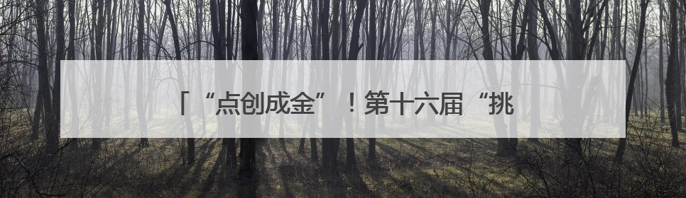 “点创成金”！第十六届“挑战杯”省赛在邵阳火热开赛