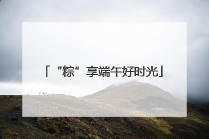 “粽”享端午好时光