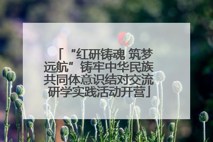 “红研铸魂 筑梦远航”铸牢中华民族共同体意识结对交流研学实践活动开营