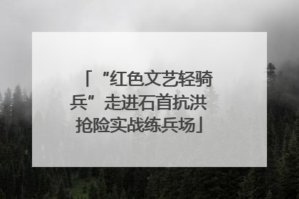 “红色文艺轻骑兵”走进石首抗洪抢险实战练兵场