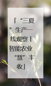 “三夏”生产一线观察丨智能农业“慧”丰收