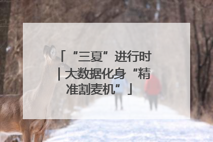 “三夏”进行时｜大数据化身“精准割麦机”