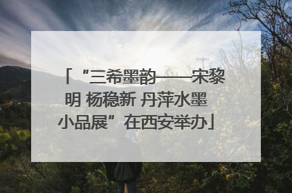 “三希墨韵——宋黎明 杨稳新 丹萍水墨小品展”在西安举办