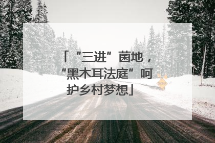 “三进”菌地，“黑木耳法庭”呵护乡村梦想