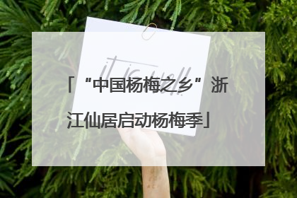 “中国杨梅之乡”浙江仙居启动杨梅季