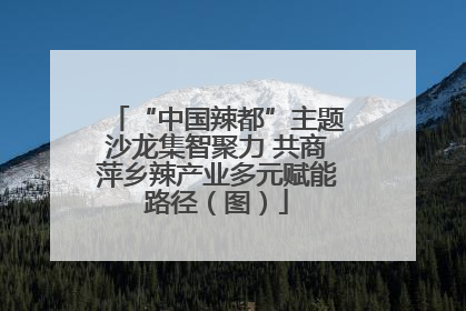 “中国辣都”主题沙龙集智聚力 共商萍乡辣产业多元赋能路径（图）