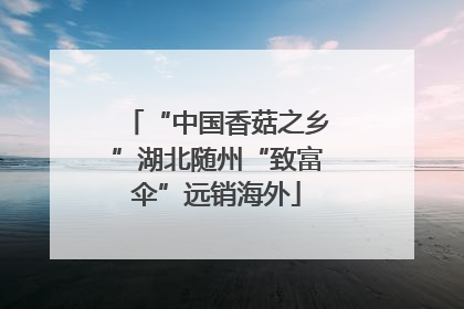 “中国香菇之乡”湖北随州“致富伞”远销海外