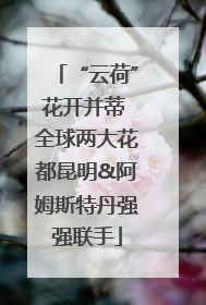 “云荷”花开并蒂 全球两大花都昆明&阿姆斯特丹强强联手