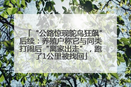 “公路惊现鸵鸟狂飙”后续：养殖户称它与同类打闹后“离家出走”，跑了1公里被找回