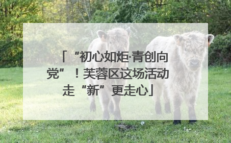 “初心如炬·青创向党”！芙蓉区这场活动走“新”更走心