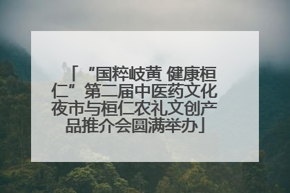 “国粹岐黄 健康桓仁”第二届中医药文化夜市与桓仁农礼文创产品推介会圆满举办
