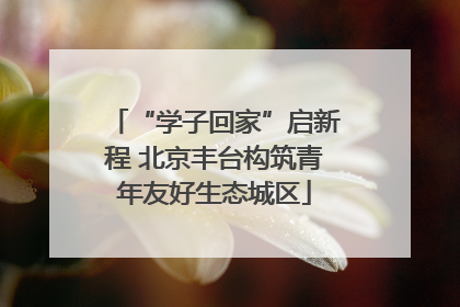 “学子回家”启新程 北京丰台构筑青年友好生态城区