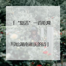 “复活”一首乾隆写给湖南巡抚的诗