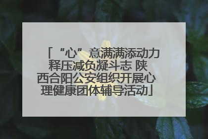 “心”意满满添动力 释压减负凝斗志 陕西合阳公安组织开展心理健康团体辅导活动