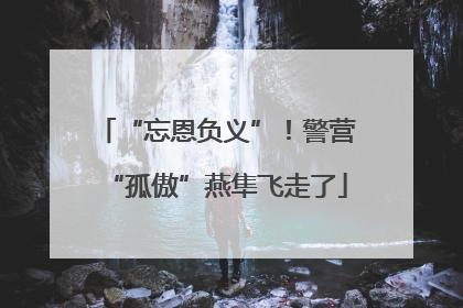 “忘恩负义”！警营“孤傲”燕隼飞走了