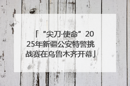 “尖刀·使命”2025年新疆公安特警挑战赛在乌鲁木齐开幕
