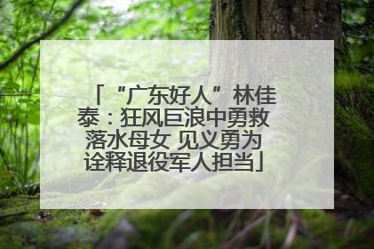 “广东好人”林佳泰：狂风巨浪中勇救落水母女 见义勇为诠释退役军人担当
