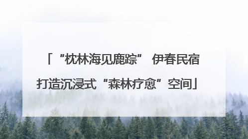“枕林海见鹿踪” 伊春民宿打造沉浸式“森林疗愈”空间