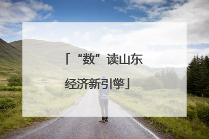 “数”读山东经济新引擎