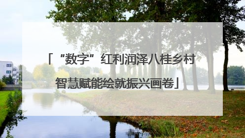 “数字”红利润泽八桂乡村 智慧赋能绘就振兴画卷