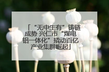 “无中生有”铸链成势 兴仁市“煤电铝一体化”撬动百亿产业集群崛起
