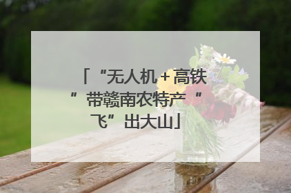 “无人机＋高铁”带赣南农特产“飞”出大山