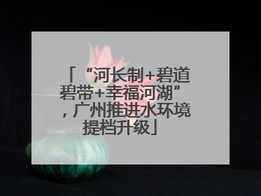 “河长制+碧道碧带+幸福河湖”,广州推进水环境提档升级