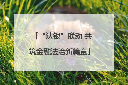 “法银”联动 共筑金融法治新篇章