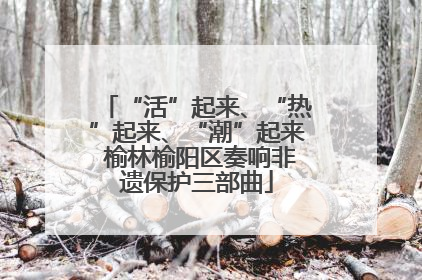 “活”起来、“热”起来、“潮”起来 榆林榆阳区奏响非遗保护三部曲