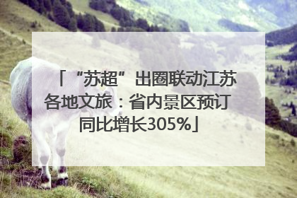 “苏超”出圈联动江苏各地文旅：省内景区预订同比增长305%