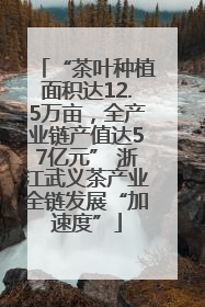 “茶叶种植面积达12.5万亩，全产业链产值达57亿元” 浙江武义茶产业全链发展“加速度”