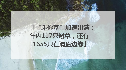 “迷你基”加速出清：年内117只谢幕，还有1655只在清盘边缘