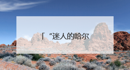 “迷人的哈尔滨之夏”自行车巡游活动举行
