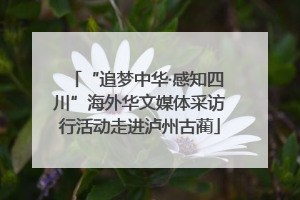“追梦中华·感知四川”海外华文媒体采访行活动走进泸州古蔺