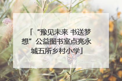 “豫见未来 书送梦想”公益图书室点亮永城五所乡村小学