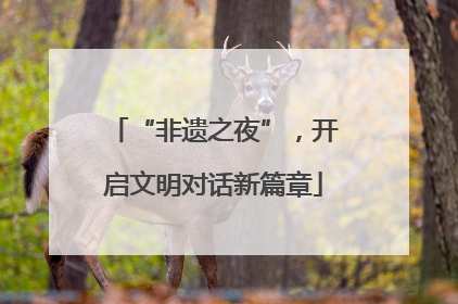 “非遗之夜”，开启文明对话新篇章