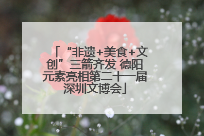 “非遗+美食+文创”三箭齐发 德阳元素亮相第二十一届深圳文博会