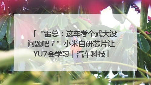 “雷总：这车考个武大没问题吧？”小米自研芯片让YU7会学习｜汽车科技