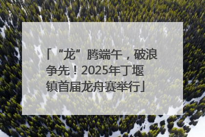 “龙”腾端午，破浪争先！2025年丁堰镇首届龙舟赛举行