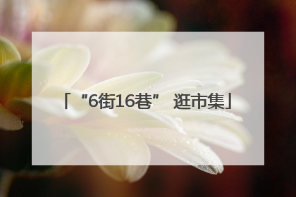 “6街16巷” 逛市集