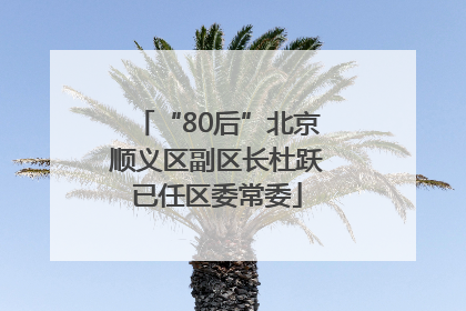 “80后”北京顺义区副区长杜跃已任区委常委